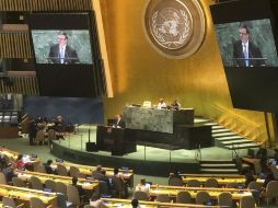 Ahora, las familias y víctimas podrán solicitar otro canal de investigación para acceder a la justicia. NTX/ARCHIVO