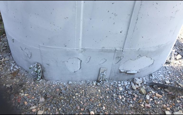 Manifestantes exigen la reposición inmediata de las plantas y una mesa de diálogo con el Gobierno de Jalisco. ESPECIAL