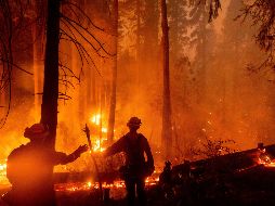 Los 850 bomberos en el sitio todavía no han logrado contener los incendios tras días de trabajo. AP