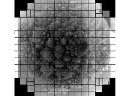 Una cabeza de brócoli fue fotografiada por la cámara de 3.200 megapíxeles que se instalará en el Observatorio Vera Rubin en Chile. LSST Camera Team/SLAC/VRO