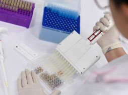 Autoridades reiteraron que 