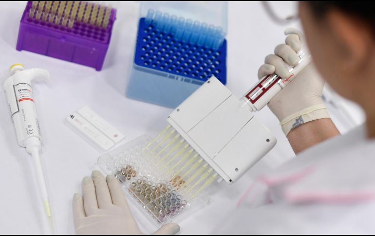 Autoridades reiteraron que 