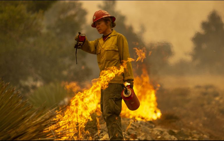 Más de dos mil viviendas y edificios han sido consumidos por una serie de incendios que avanzan rápidamente y a los que ahora se les conoce como el Complejo Norte. AP / D. McNew