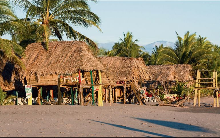 Reserva Natural La Tovara (San Blas), referente mundial para los amantes de las aves endémicas y migratorias. ESPECIAL