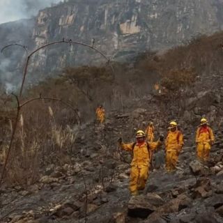 Controlan incendio forestal cerca de Machu Picchu en Perú