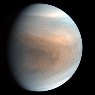 El extraordinario hallazgo que muestra que puede haber indicios de vida en las nubes de Venus