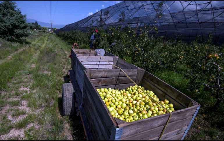 Los recursos del bono financiarán proyectos elegibles de los sectores de agua, educación, salud, energía e infraestructura. EFE/M. Sierra