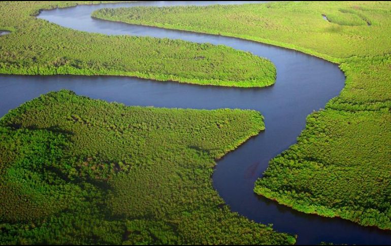 Este congreso se celebra normalmente cada cuatro años con el fin de que gobiernos, oenegés y expertos renueven las prioridades internacionales para proteger los ecosistemas. TWITTER / @IUCN