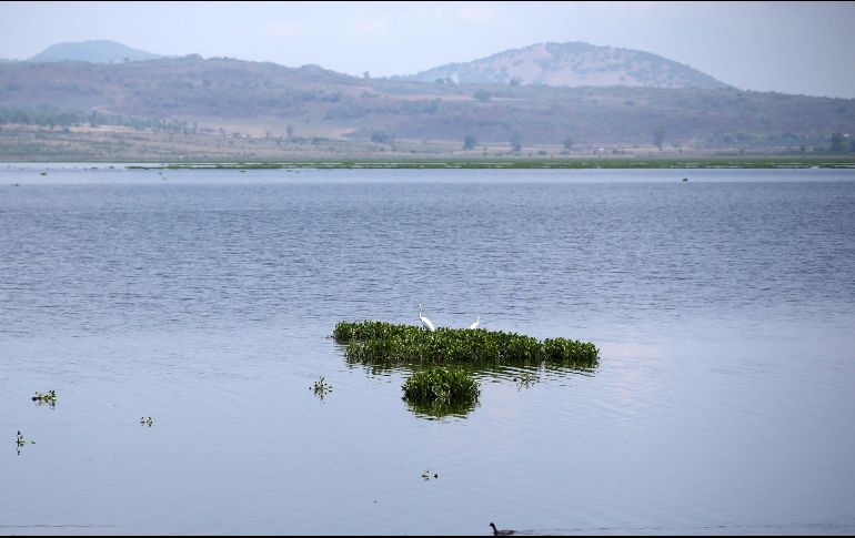 México tiene hasta el 24 de octubre para pagar su deuda de agua. EL INFORMADOR/Archivo