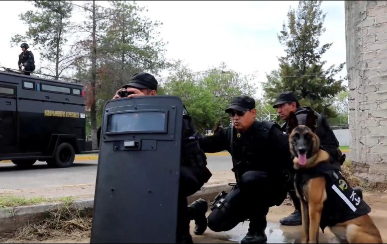 Los nuevos integrantes de las fuerzas de seguridad podrían laborar como Policías del Estado, Policías Viales y Policías Custodios. ESPECIAL