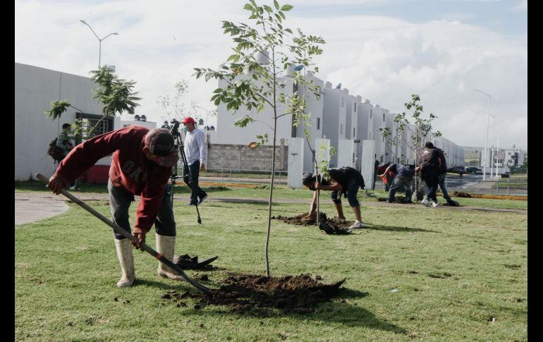 AC2T5377-20200918-Gil