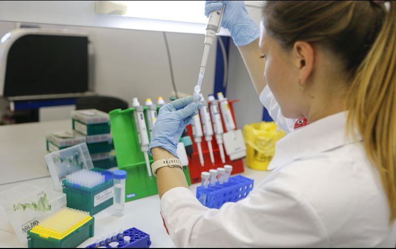 AstraZeneca continúa con los ensayos de la vacuna. EL INFORMADOR/ARCHIVO