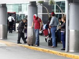 El Aeropuerto de Guadalajara realiza labores coordinadas con los gobiernos municipales de Tlajomulco y El Salto para controlar esta plaga. EL INFORMADOR/ARCHIVO