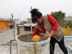 En Tlaquepaque no se relajarán las medidas para prevenir y controlar el vector en coordinación con otras dependencias. EL INFORMADOR/ARCHIVO