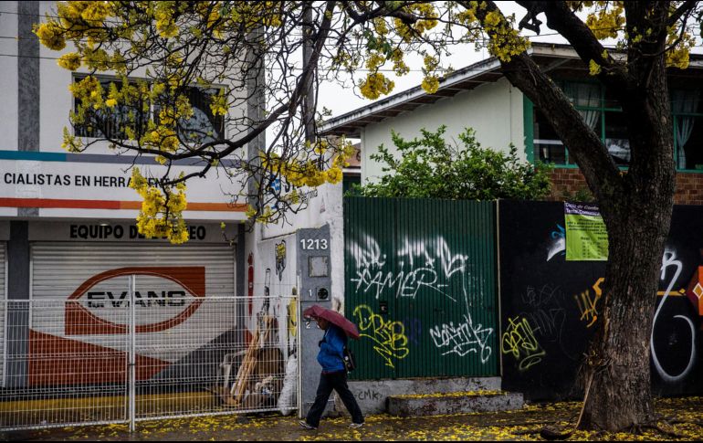 Este año, la estación comenzó oficialmente a las 08:30 horas tiempo del centro de México. EL INFORMADOR / ARCHIVO
