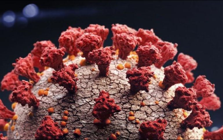 La pandemia del coronavirus ha causado millones de muertes a nivel mundial.