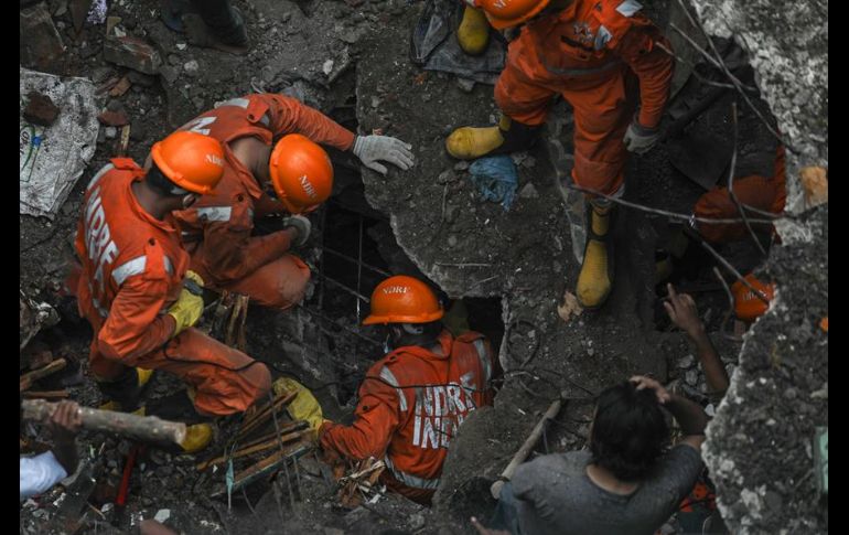 Equipos de socorristas, ayudados por perros rastreadores, trabajan en la zona. EFE/Y. Solanki