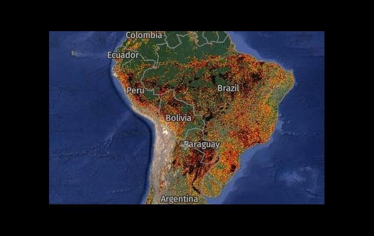 Global Forest Watch