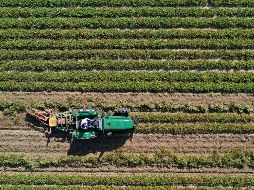 El Gobierno planteó a la Comisión Nacional Agropecuaria realizar mesas de trabajo para platicar sobre las preocupaciones del sector agropecuario. XINHUA/Y. Jianfeng