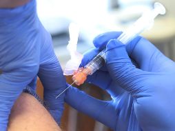 La empresa recordó que los eventos adversos en los ensayos de las vacunas son de esperar. AP / ARCHIVO