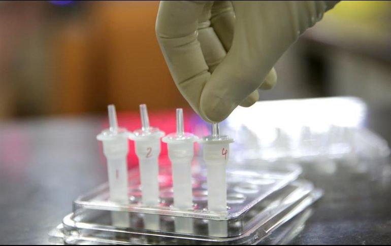 Actualmente, existen aún tres mil 520 casos activos en Jalisco. EFE/P. Adhikary