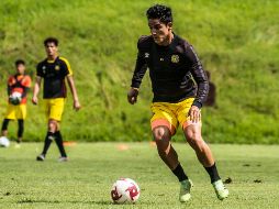 Los Leones Negros reciben a Pumas Tabasco en el estadio Jalisco al mediodía. TWITTER/LeonesNegrosCF