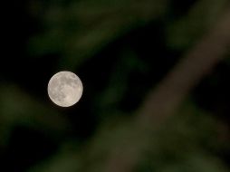 La NASA estima que este fenómeno ocurre cada dos años y medio. NTX / ARCHIVO