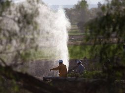 Pemex suma 6 mil 739 perforaciones ilegales en los primeros ocho meses. EFE/ARCHIVOL