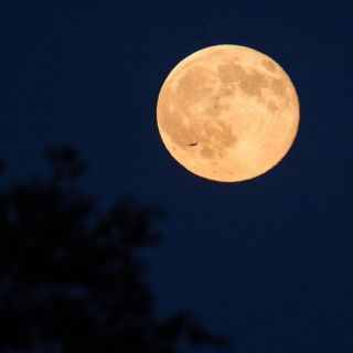 La "Luna Azul" y lluvia de meteoros: los fenómenos astronómicos en octubre de 2020