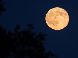 El mes de octubre es conocido por sus espectaculares eventos astronómicos que incluyen a la Luna. ESPECIAL / NASA