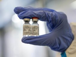 El pasado 15 de agosto, Rusia comenzó a producir su primera vacuna contra el COVID-19, bautizada como Sputnik V y que ha sido recibida con recelo por la comunidad científica internacional. AFP / ARCHIVO