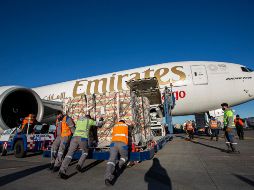 En el primer cargamento de Jalisco a Dubai se transportaron 40 toneladas de aguacate. ESPECIAL/Sedeco