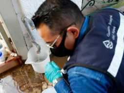 Los resultados muestran que el agua que llega a los hogares es de buena calidad y apta para el uso humano. ESPECIAL