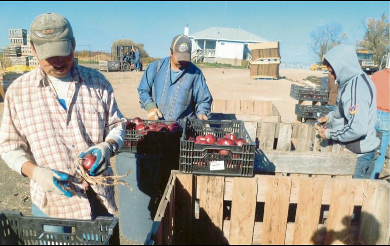 RESPALDO. Las transacciones de los mexicanos que viven en Estados Unidos han crecido, pese a la pandemia del COVID-19 y el endurecimiento de las políticas migratorias. SUN / ARCHIVO