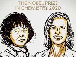 Charpentier y Doudna investigaron el sistema inmunológico de una bacteria Streptococcus y 