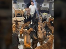 La publicación del rescatista, que no sólo protege a perros, sino a animales de otras especies, tuvo un impacto positivo entre los usuarios de redes sociales, quienes se han sumado a la causa. FACEBOOK / Ricardo Pimentel Cordero