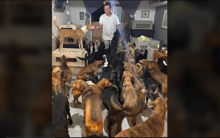 La publicación del rescatista, que no sólo protege a perros, sino a animales de otras especies, tuvo un impacto positivo entre los usuarios de redes sociales, quienes se han sumado a la causa. FACEBOOK / Ricardo Pimentel Cordero