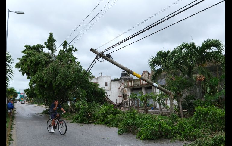 Árboles caídos en una calle en Puerto Morelos. Xinhua/I. Rosas