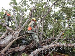 Las + Informador: Las noticias del 7 de octubre de 2020