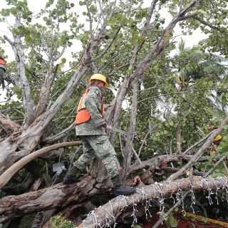 Las + Informador: Las noticias del 7 de octubre de 2020