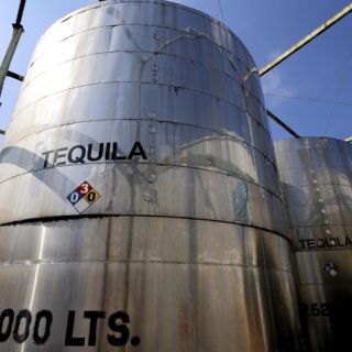 Buscan respaldo de AMLO a la industria tequilera ante disputa con Heineken