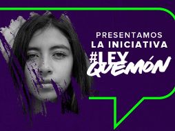 La #LeyQuemón se presentó en la Cámara de Diputados, donde aún se debe aprobar. TWITTER/ @PRI_Nacional