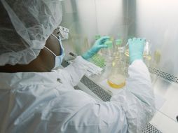 Eli Lilly no indicó si los otros ensayos que actualmente prueban anticuerpos sintéticos estaban también suspendidos. AP/Eli Lilly/ARCHIVO