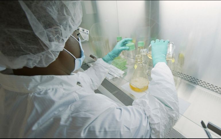 Eli Lilly no indicó si los otros ensayos que actualmente prueban anticuerpos sintéticos estaban también suspendidos. AP/Eli Lilly/ARCHIVO