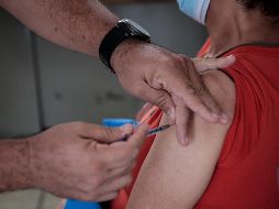 De haber vacuna en diciembre se tendrían entregas mensuales de dosis para completar los 116.69 millones de personas protegidas en diciembre de 2021. EL INFORMADOR / ARCHIVO