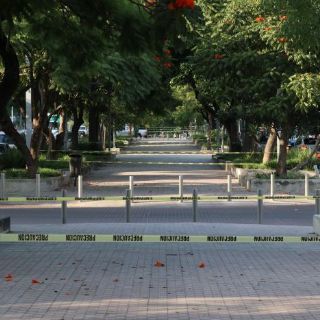 Guadalajara: ¿cuándo habrá cierres en el camellón de Chapultepec y filtros en el Centro?