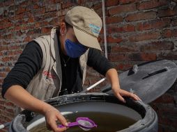 Del 19 al 26 de octubre las brigadas de “Vectores y Zoonosis” y “Patio Limpio” continuarán con las acciones contra el mosquito Aedes aegypti. ESPECIAL/Gobierno de Jalisco