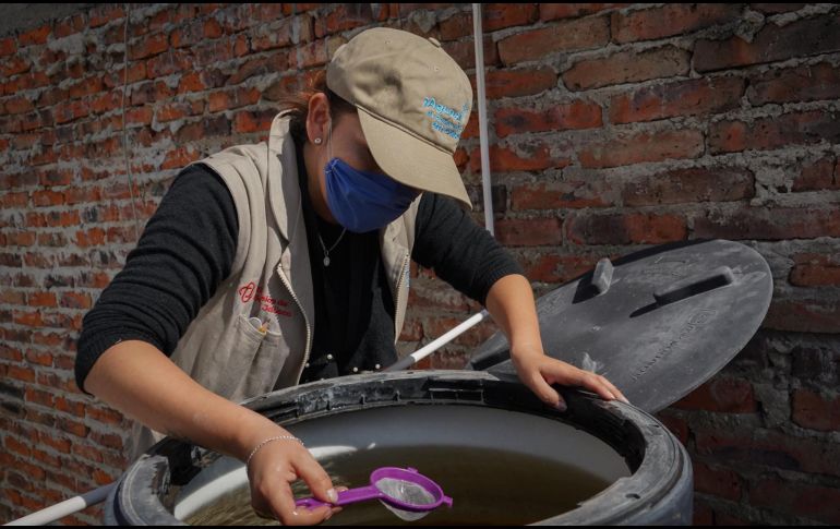 Del 19 al 26 de octubre las brigadas de “Vectores y Zoonosis” y “Patio Limpio” continuarán con las acciones contra el mosquito Aedes aegypti. ESPECIAL/Gobierno de Jalisco