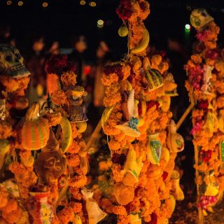 Día de Muertos: conoce los beneficios de comer cempasúchil