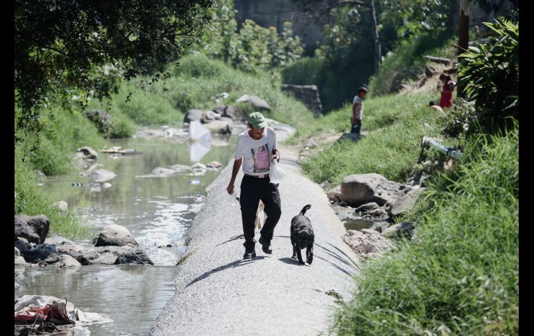 EL INFORMADOR/G. Gallo